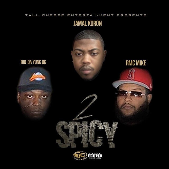 '2 Spicy' cover art