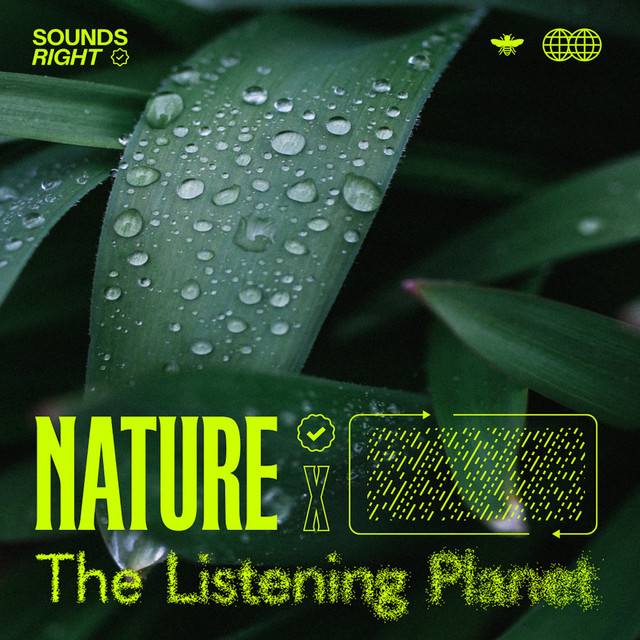 'Nature's Rainfall Melodies' cover art