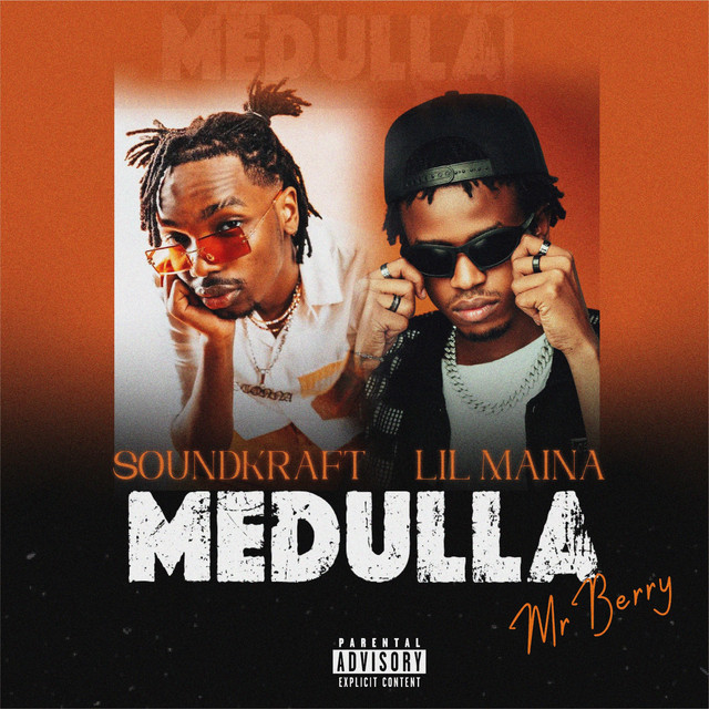 'Medulla' cover art
