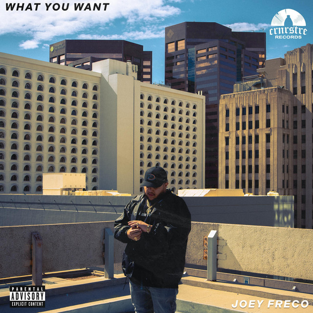 'WHAT YOU WANT' cover art