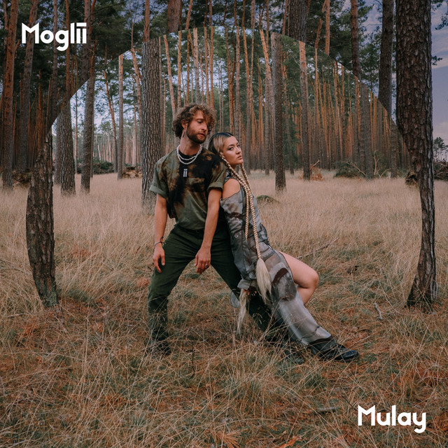 'Sunliight' cover art