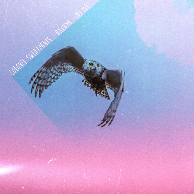 'four0four' cover art