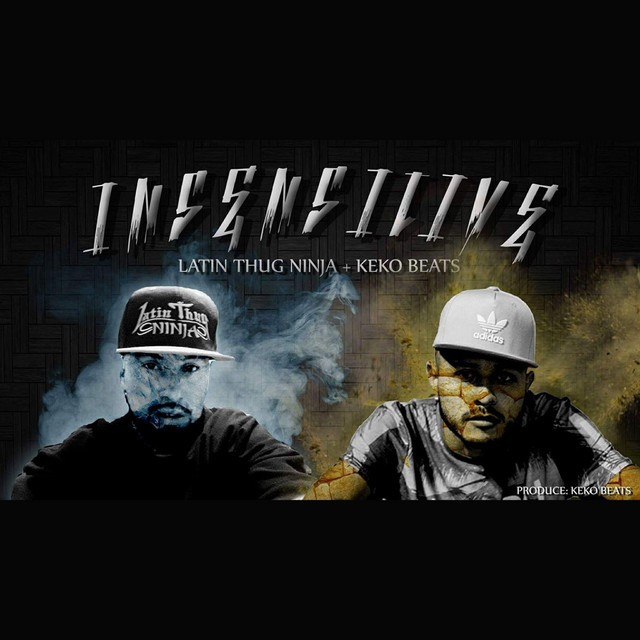 'Insensitive' cover art