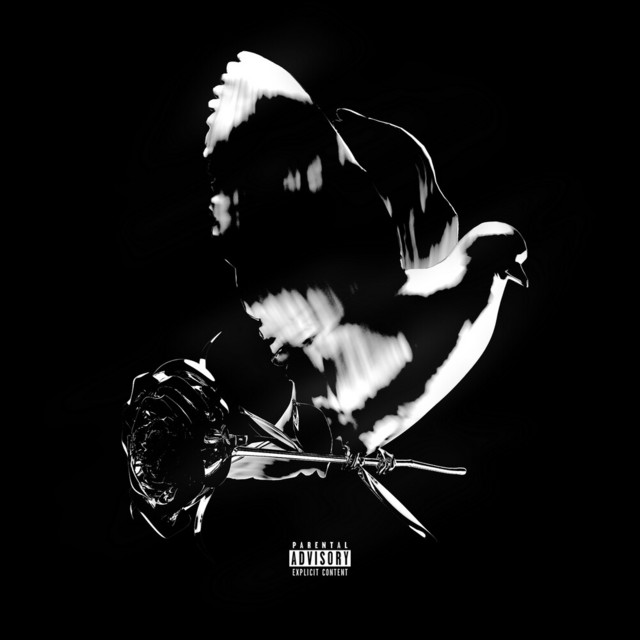 'Shoot For The Stars Aim For The Moon (Deluxe)' cover art