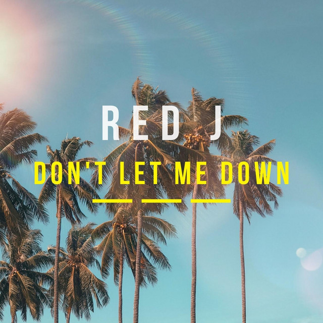 'Don't Let Me Down' cover art