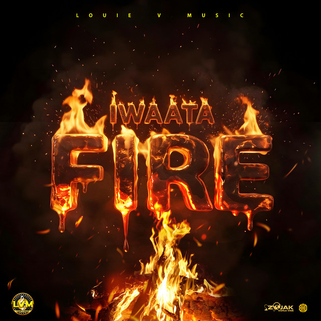 'Fire' cover art