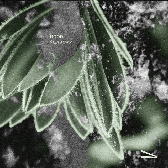 'Skin Mask [VARIA001]' cover art