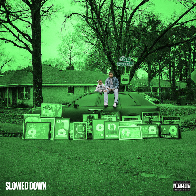 'Cottonwood 2 (Slowed Down)' cover art