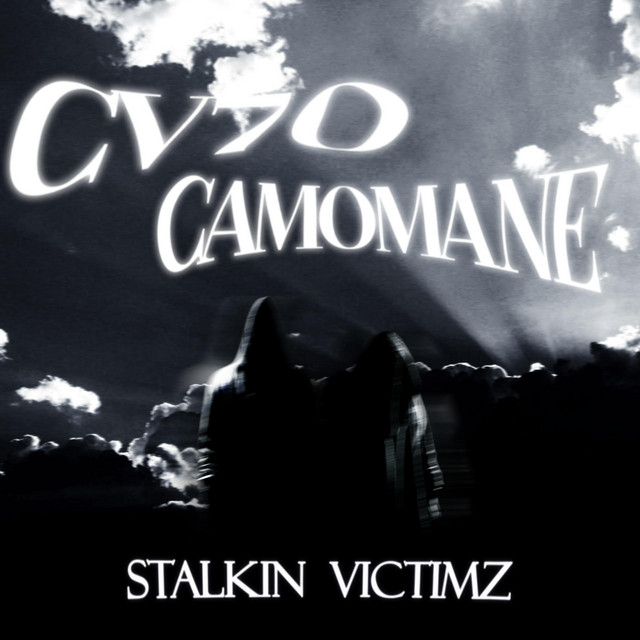 'STALKIN VICTIMZ' cover art