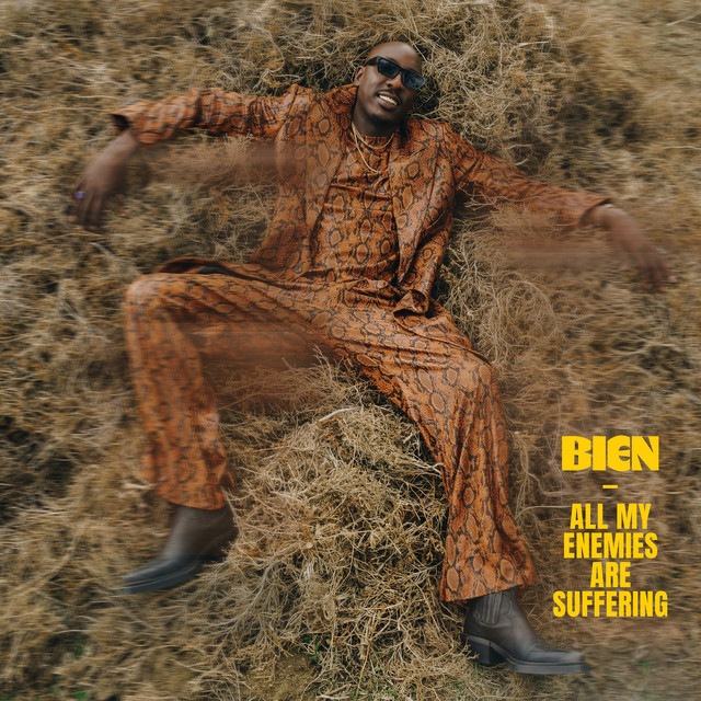 'All My Enemies Are Suffering' cover art