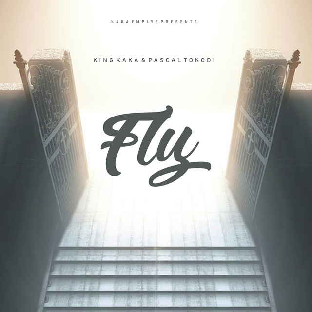 'Fly' cover art