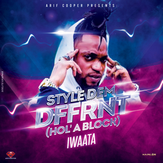 'Style Dem Dffrnt (Hol' a Block)' cover art