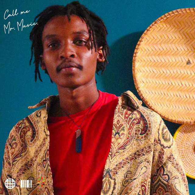 'Call Me Mr Music' cover art