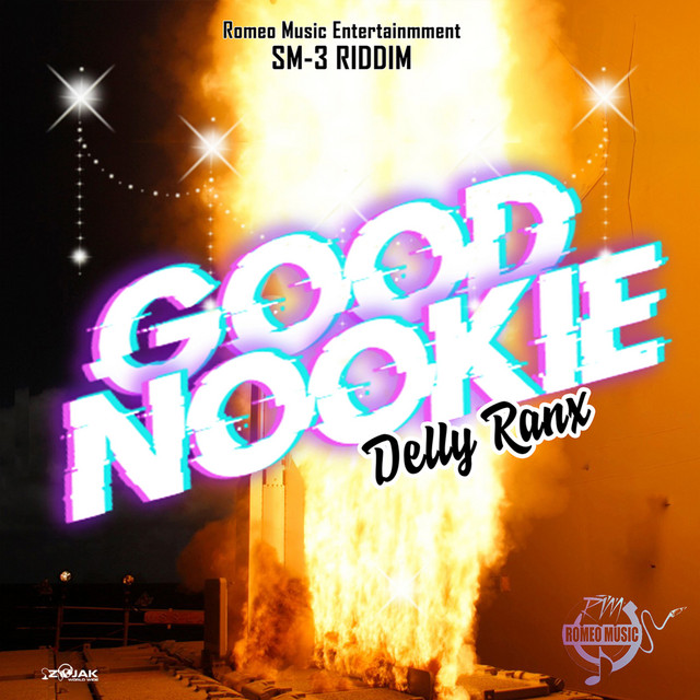 'Good Nookie' cover art