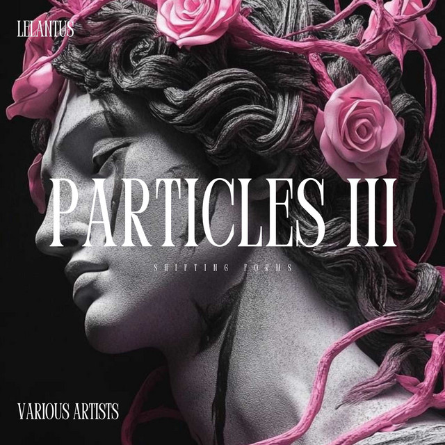 'Nuevo' cover art