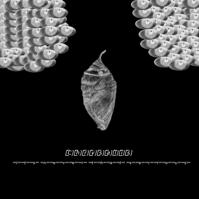 'CHRYSALIS' cover art