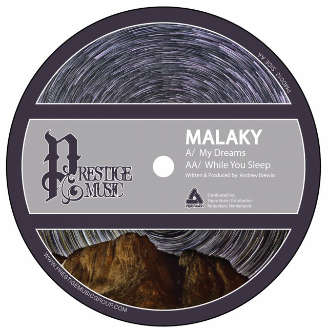'My Dreams / While You Sleep' cover art