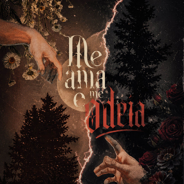 'Me Ama e me Odeia' cover art