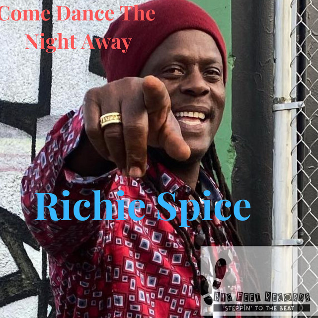 'Dance The Night Away' cover art