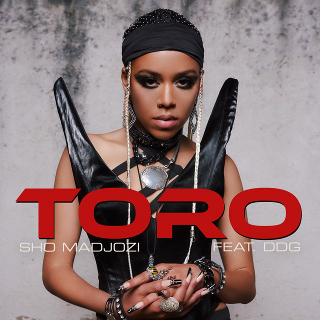 'Toro (feat. DDG)' cover art