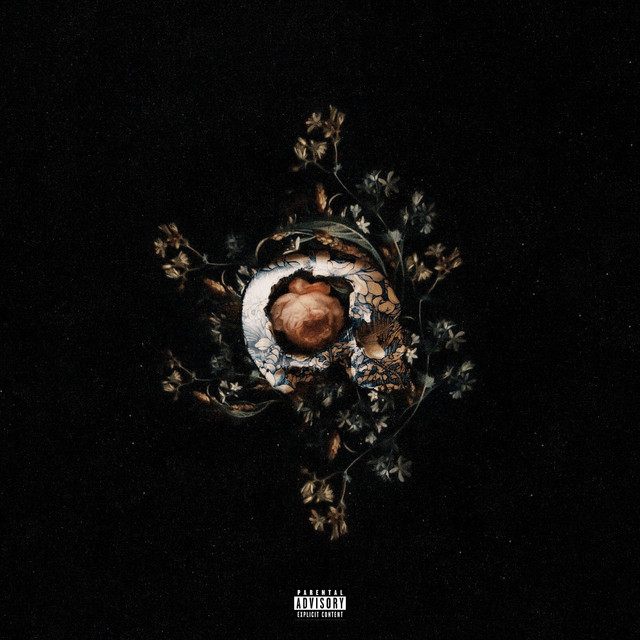 'broken vase' cover art