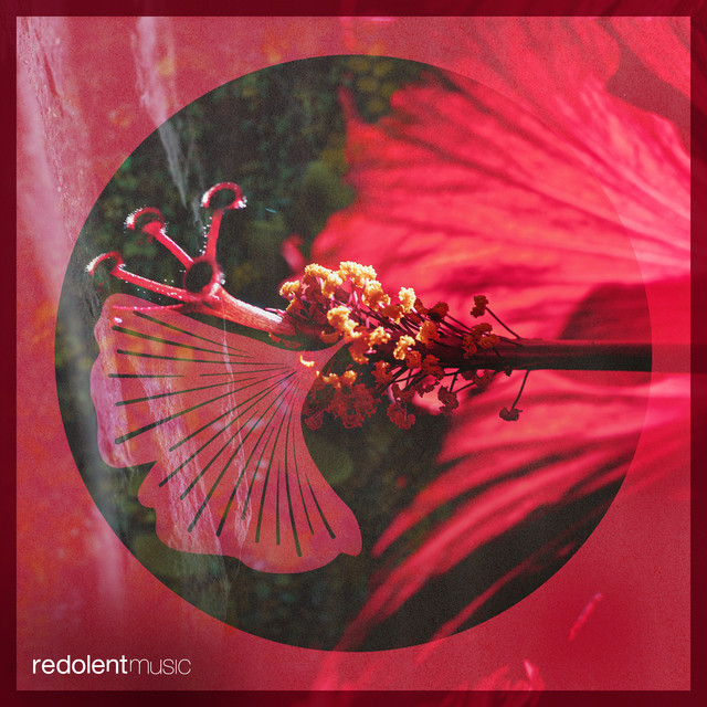 'Prado's Revenge (Aaron Sevilla Remix)' cover art