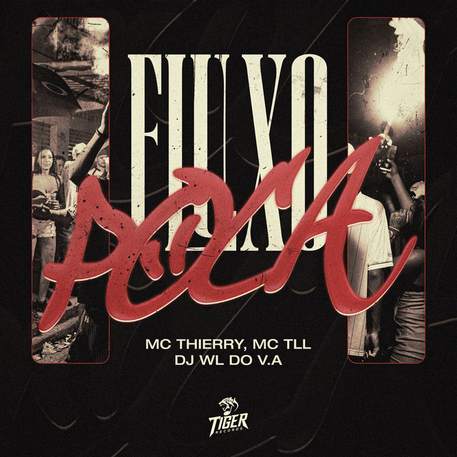 'FLUXO POCA' cover art