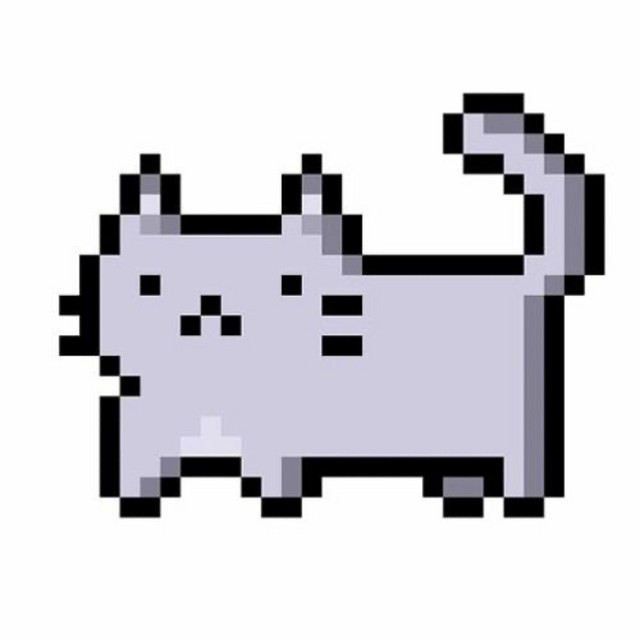 'silly cat' cover art