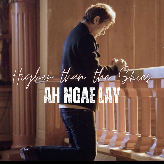 'Higher Than the Skies' cover art