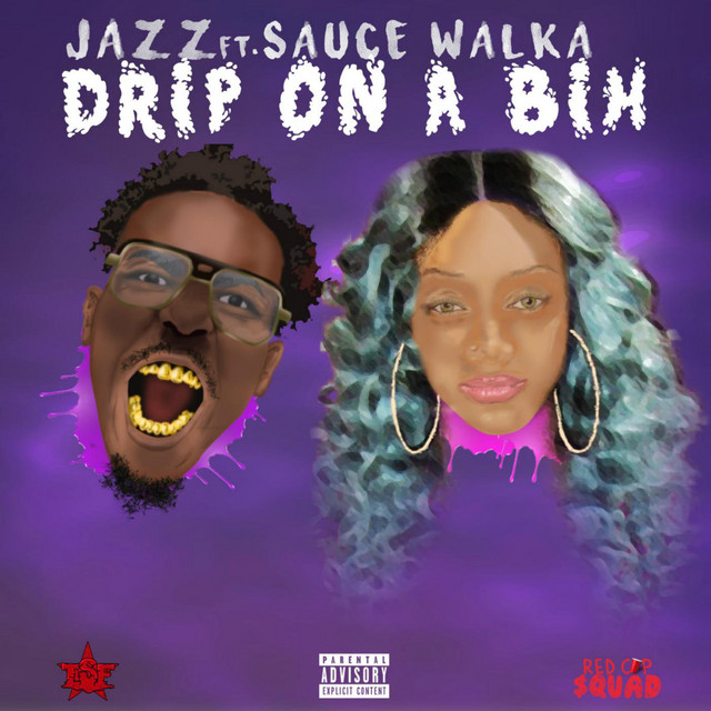 'Drip on a Bih' cover art