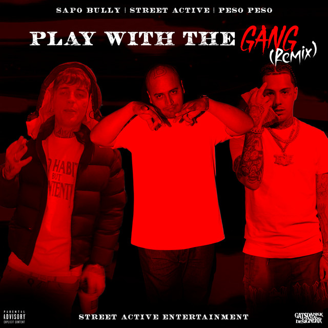'Play With The Gang (Remix)' cover art