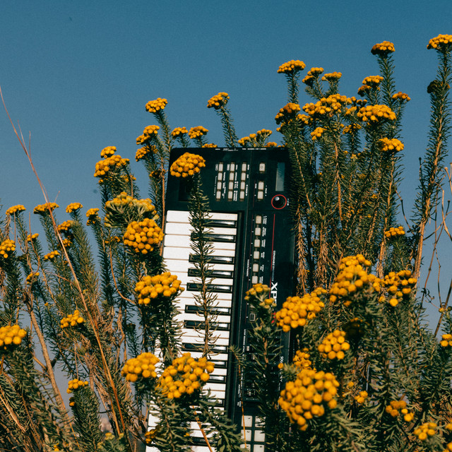 'Bee's Worx' cover art
