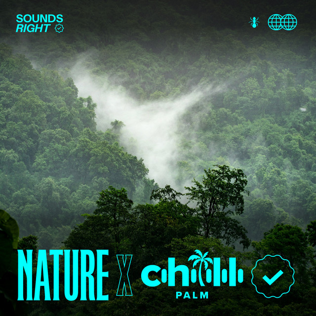 'Sounds of the Borneo Rainforest' cover art