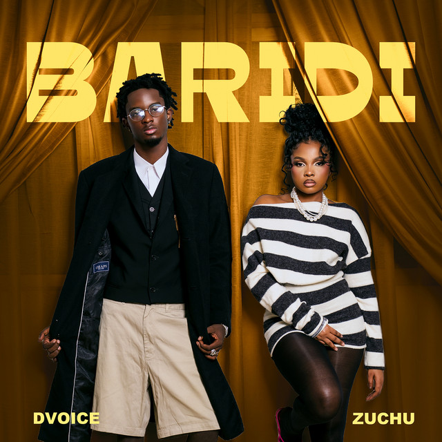 'Baridi' cover art