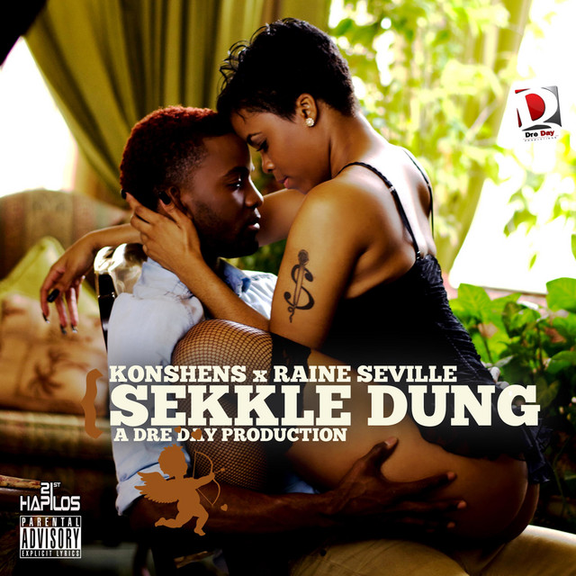 'Sekkle Dung' cover art