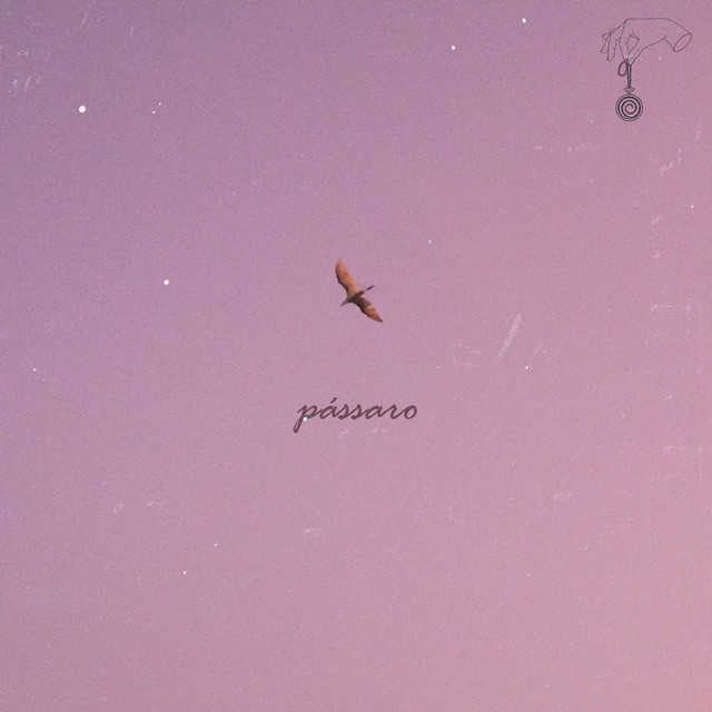 'pássaro' cover art