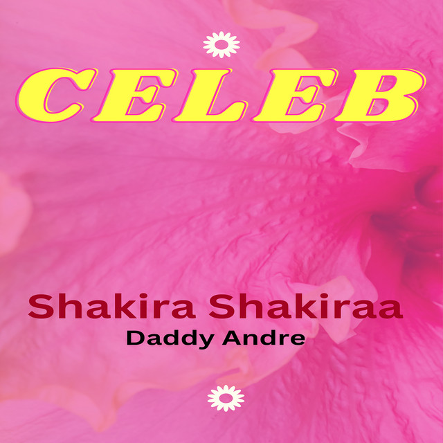 'Celeb' cover art
