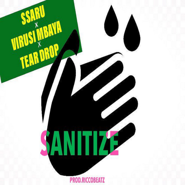 'Sanitize' cover art