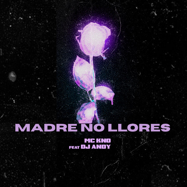 'Madre No Llores' cover art
