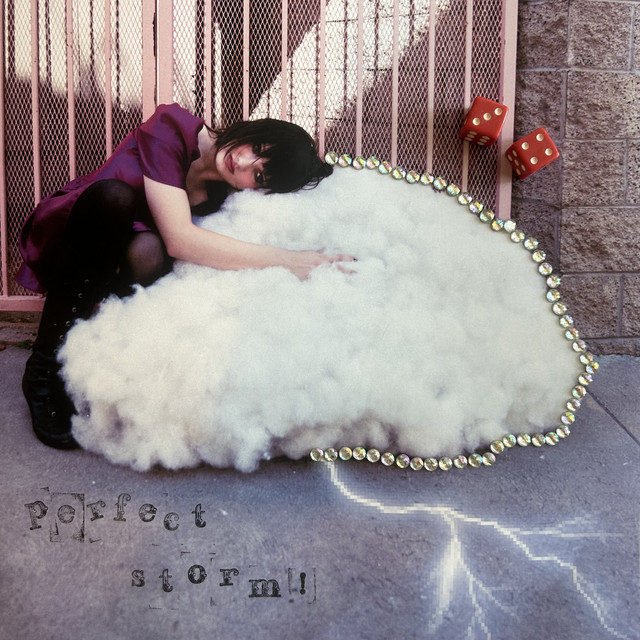 'Perfect Storm!' cover art