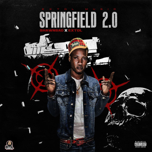'Springfield 2.0' cover art