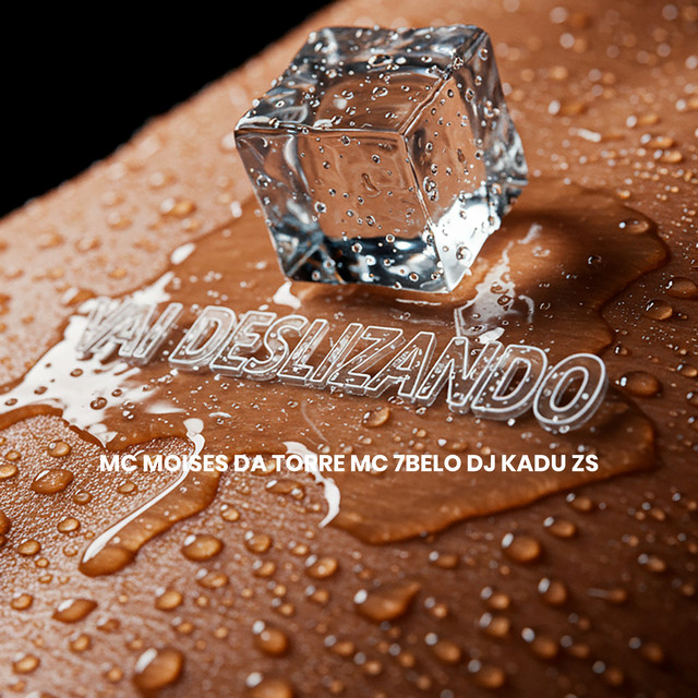'VAI DESLIZANDO' cover art