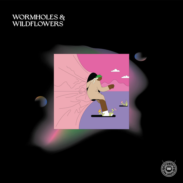 'Wormholes & Wildflowers' cover art