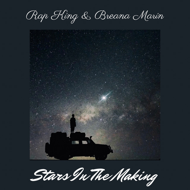 'Stars In The Making' cover art