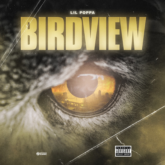 'Birdview' cover art