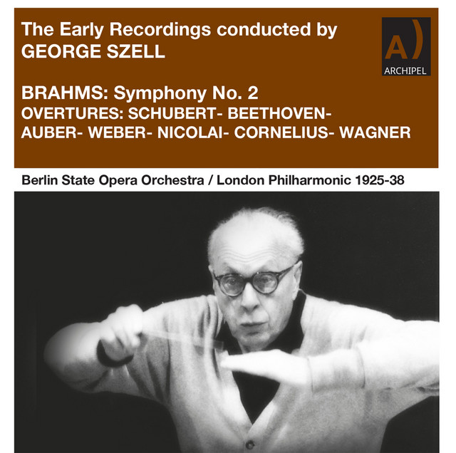 'Brahms, Schubert & Others: Orchestral Works (Remastered 2022)' cover art