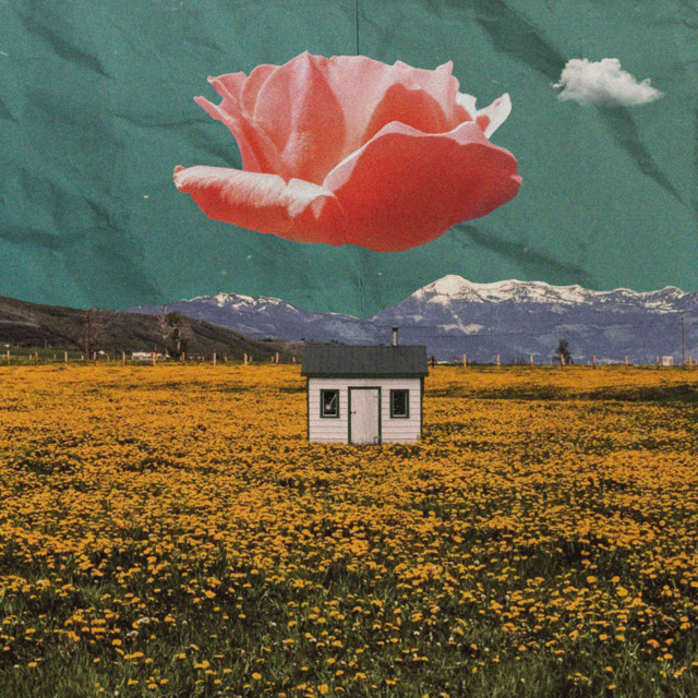 'pollen' cover art