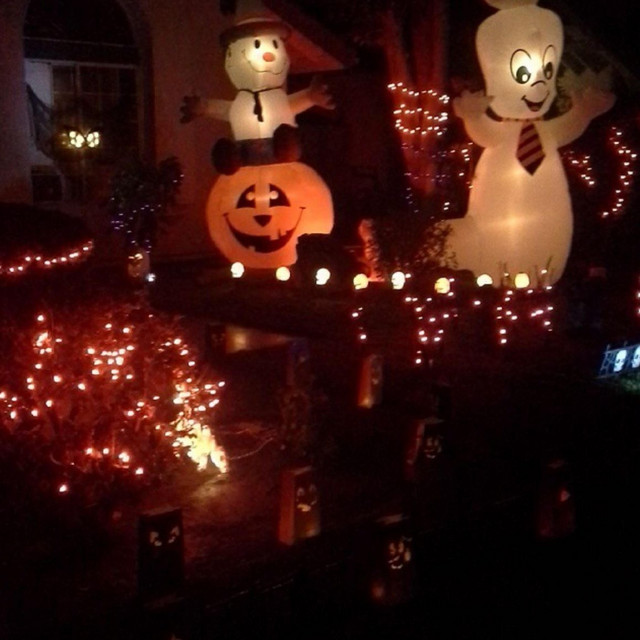 'Jacko lantern' cover art