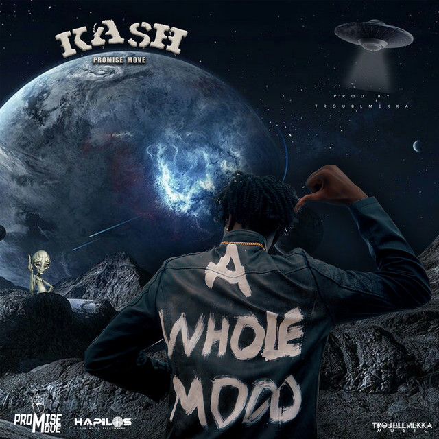 'A Whole Mood' cover art