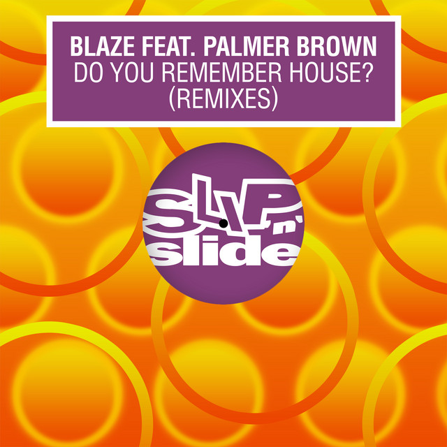 'Do You Remember House? (Remixes)' cover art